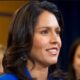 Tulsi Gabbard